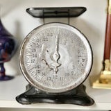 shopify auction