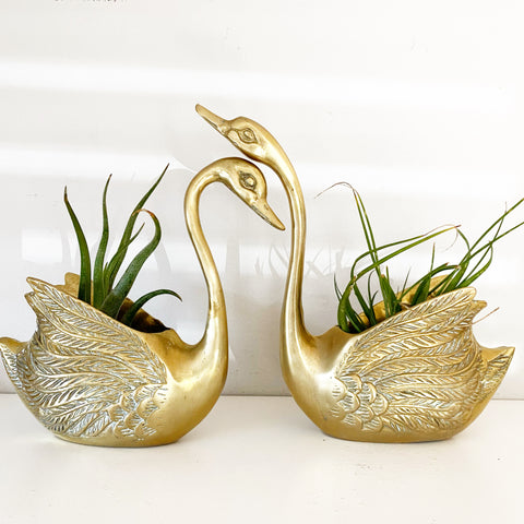 Pair of Brass Swan Planters