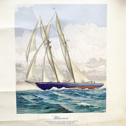 The Schooner Bluenose Vintage Print by W G Brennan