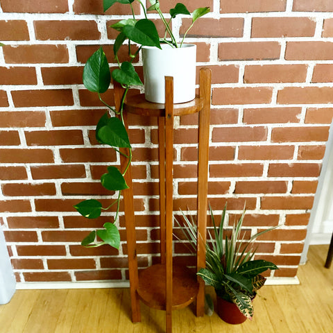 Wooden 2 Tier Plant Stand