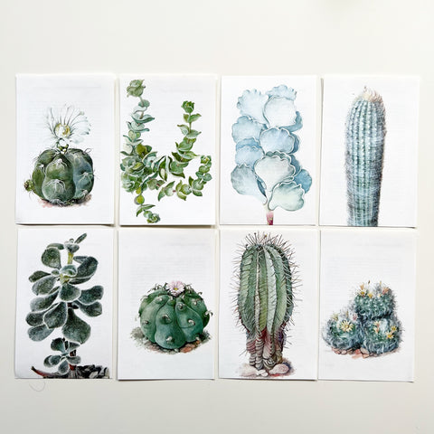 Cactus and Succulent Bookplate Lot