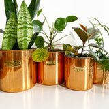 Set of 4 Copper Canister Planters