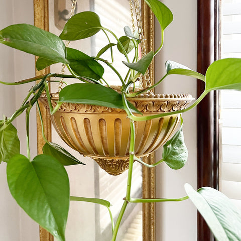 large gold hanging planter Gold Hanging Planter – What These Old Things NS