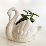Ceramic Swan Planter
