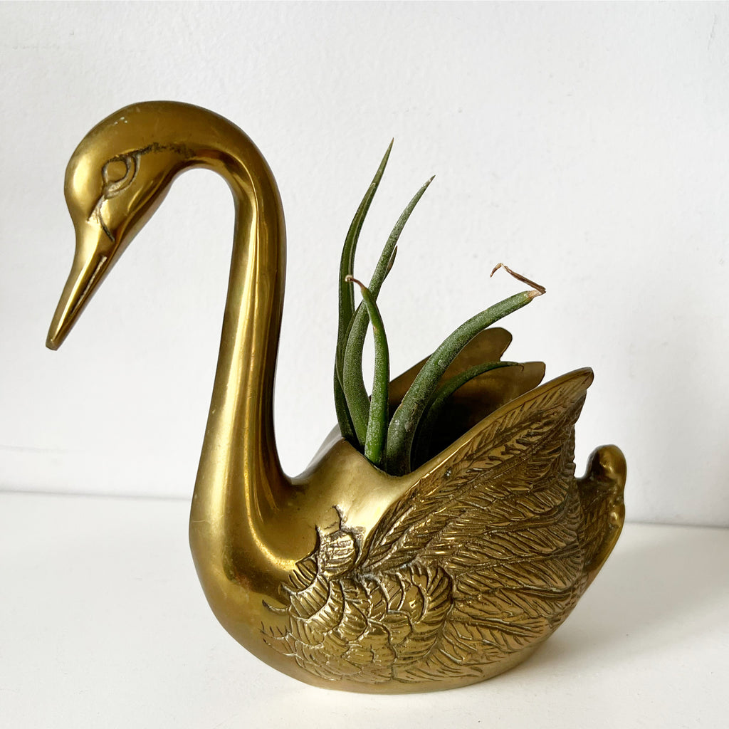 Brass Swan Planter – What These Old Things NS
