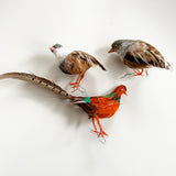 Trio of Vintage City Birds