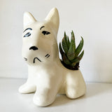 shopify auction