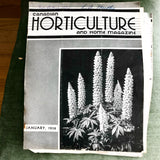 Set of 6 Vintage Gardening and Horticulture Magazines